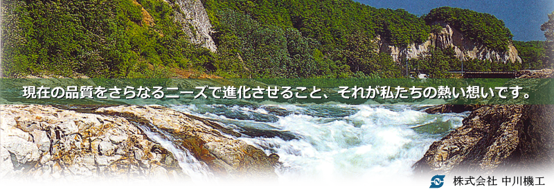 ���݂̕i��������Ȃ�j�[�Y�Ői�������邱�ƁA���ꂪ�������̔M���z���ł��B������В���@�H